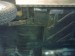 renovace cortina109